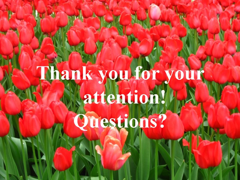 Thank you for your attention! Questions?